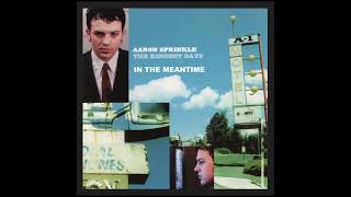 Aaron Sprinkle  -  In The Meantime