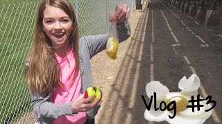 When The Kids Are Left Home Alone