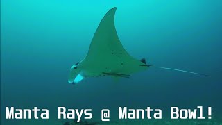 preview picture of video 'Manta Ray at Manta Bowl, Ticao Island Masbate Philippines'
