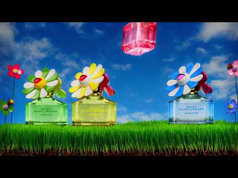 Introducing the newest Daisy: DAISY EVER SO FRESH