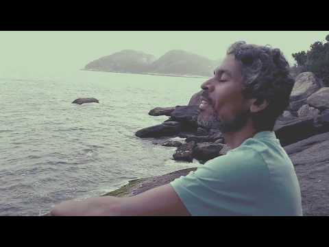 O Mais Perfeito Dia video