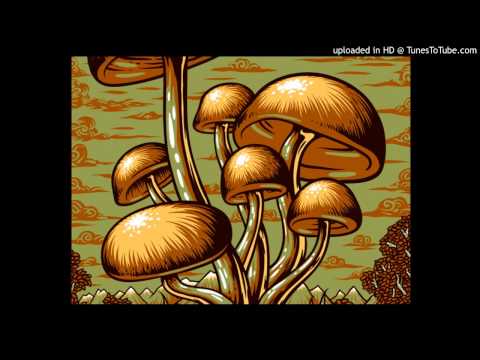 J-Live - Longevity (Mushroom Jazz)