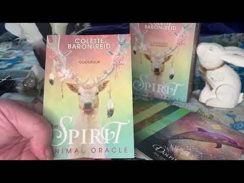 The Spirit Animal Oracle by Colette Baron-Reid Review, Flip Through #oraclecards #flipthrough