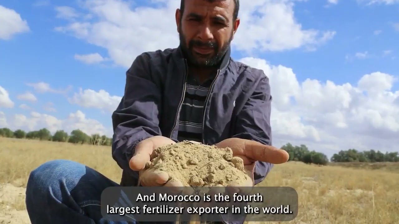 فيديو يوتيوب
