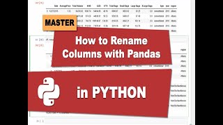 How to Rename Columns in Python Pandas DataFrame