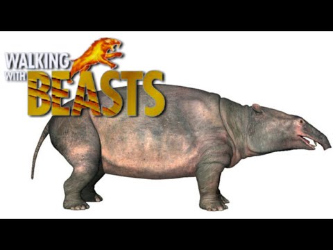 Walking With Beasts [2001] - Moeritherium Screen Time