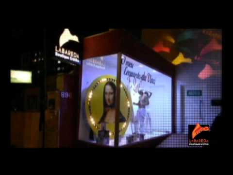 Leonardo da Vinci na Labareda