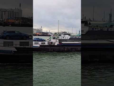 Thumbnail for Rotterdam, Netherlands#shorts