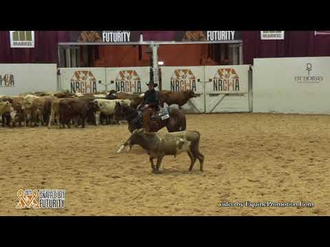 AK Locked And Loaded ridden by Mark A. Sigler  - 2017 Snaffle Bit Futurity-Herd Work Open Prelims