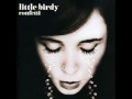 Little Birdy - Brother 