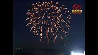 Focuri de artificii de la BROCART