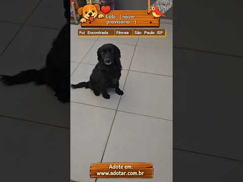 Vídeo de Lola (nome provisório)