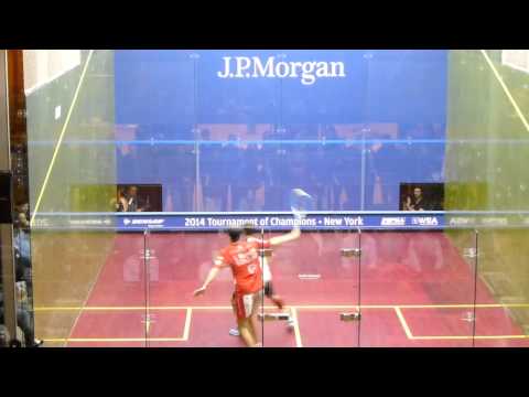 2014 Squash: 5/5 Gregory Gaultier vs S. Rosner