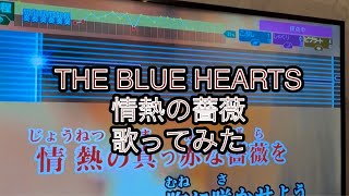 THE BLUE HEARTS 情熱の薔薇　歌ってみた
