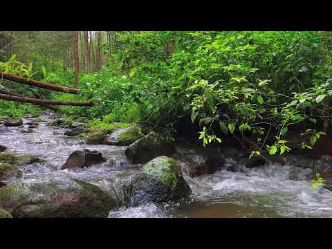 Healing River Sounds – 10 Hours of Calming ASMR for Focus & Mind Relief