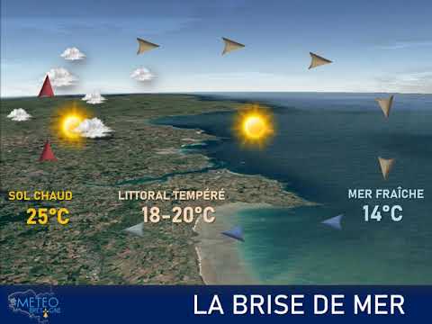 Illustration de l'actualité La brise de mer, un phénomène qui sera fréquemment observé sur nos côtes cette semaine