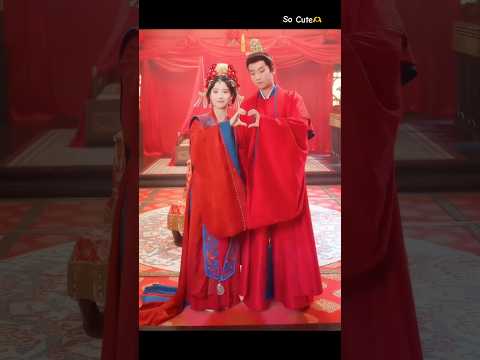 The ‘Serendipity’ CP Wang Ziqi & Lu Yuxiao❤️🫶🌹 #serendipity #wangziqi #luyuxiao #shortvideo #viral