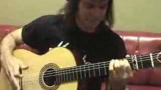Nylon-string Acoustic Guitar Robert Earl Longley FPE-TV
