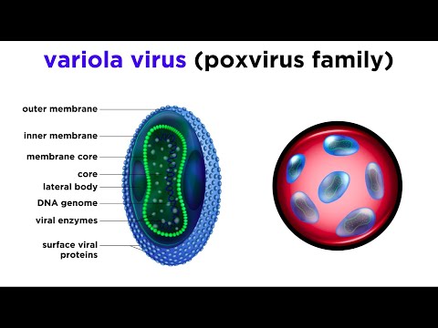 Smallpox (Variola Virus)