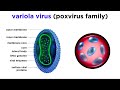 View 21 Smallpox Virus Structure