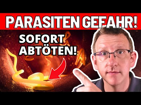 WÜRMER und PARASITEN finden und abtöten - HANDLE JETZT!