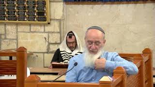 לראייה של משה יש כוח של כיבוש המקום – שיעור 18 – ספר דברים