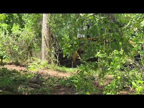 Land Clearing in Duval & St. Johns County