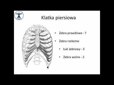Rozpoczynających treningi kulturystyczne Kulturystyka i sił specjalnych.