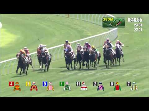 10/4/2022 (568) Enchanting Ibis - A Hamelin