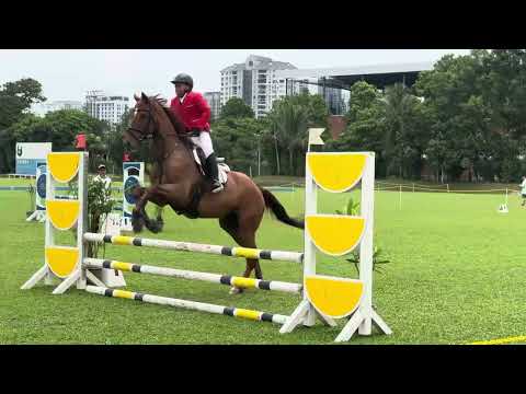 POLO FIESTA 2025 - DAY 1 - WON 4TH PLACE RIDING FABIO