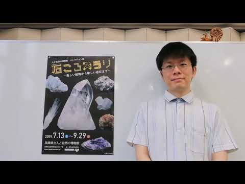 環境にとって危険