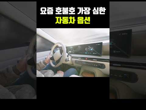 요즘 호불호 반반 갈리는 자동차 옵션