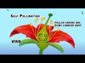 Self Pollination