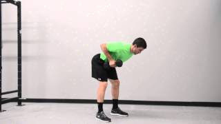 576. Single Arm Dumbbell Unsupported Bent Over Row (Pause)