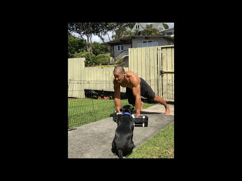 Day 281 FitPro Hawaii Workout - Dumbbell Lunges+Curls +Rows- February 22, 2021 11:08 am.