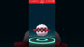 フォレトス ポケットモンスター ドラピオン カプ ブルル ハンテール フォレトス ポケットモンスター ドラピオン カプ ブルル ハンテール