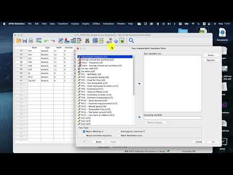 How to run a Mann Whitney U Test | SPSS