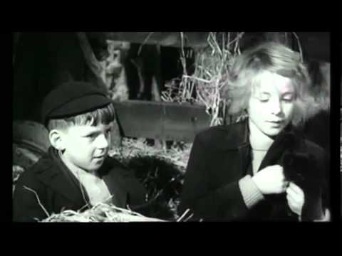 whistle down the wind spider