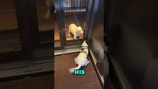 he knew who was waiting for him