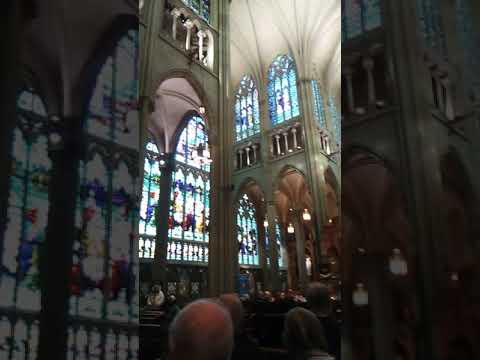 Cincinnati Brass Band 11/2018