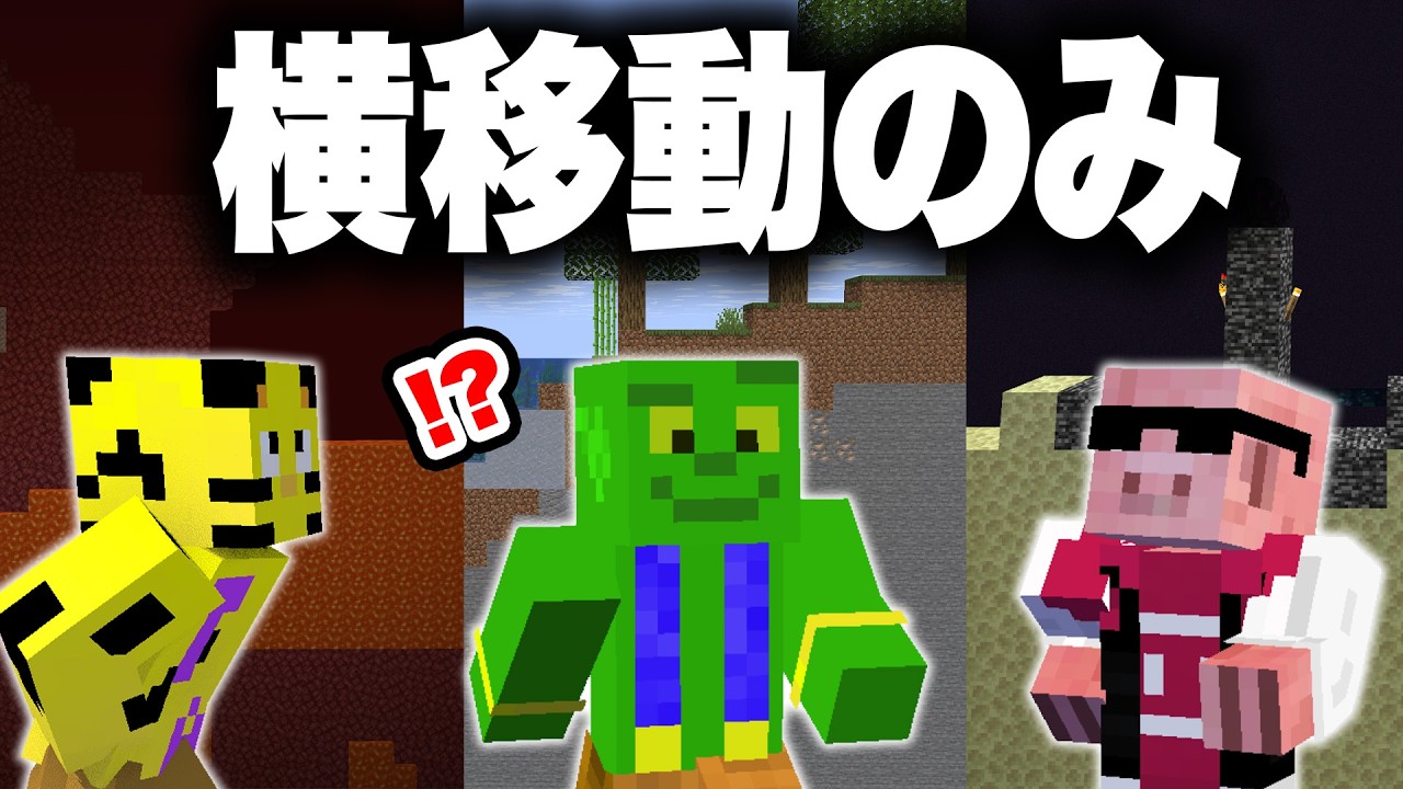 2Dの世界でエンドラ討伐できるまで終われません【マイクラ】