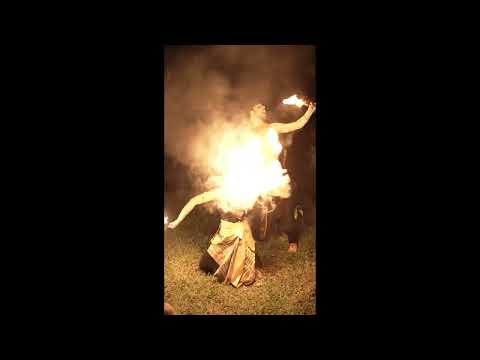 Art In The Jungle Zeb & Chix