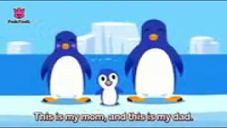 animal families animal songs pinkfong songs for children