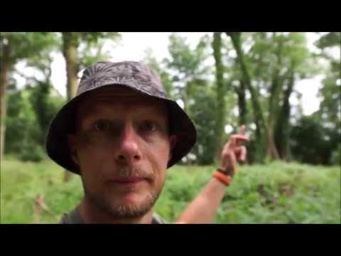 Lostinature tur - Boserup skov