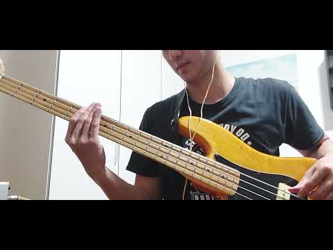 Waaah (Aliexpress) P Bass Pickups vs Duncan Designed
