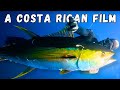Giant TUNA Catch And Cook Costa Rica