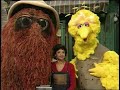 Sesame Street 3879 Big Bird And Snuffy Explore Things That Are Alive 2000