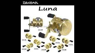 Daiwa millionaire cv-z 203