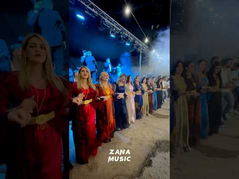 Hozan Şervan Strana  Bê Dıl Bê Dıl, Botani #shortvideo #halay #bestkurdishdancemusic #düğün #keşfet