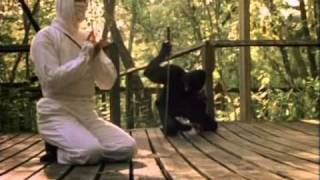 Miami Connection - Final Fight